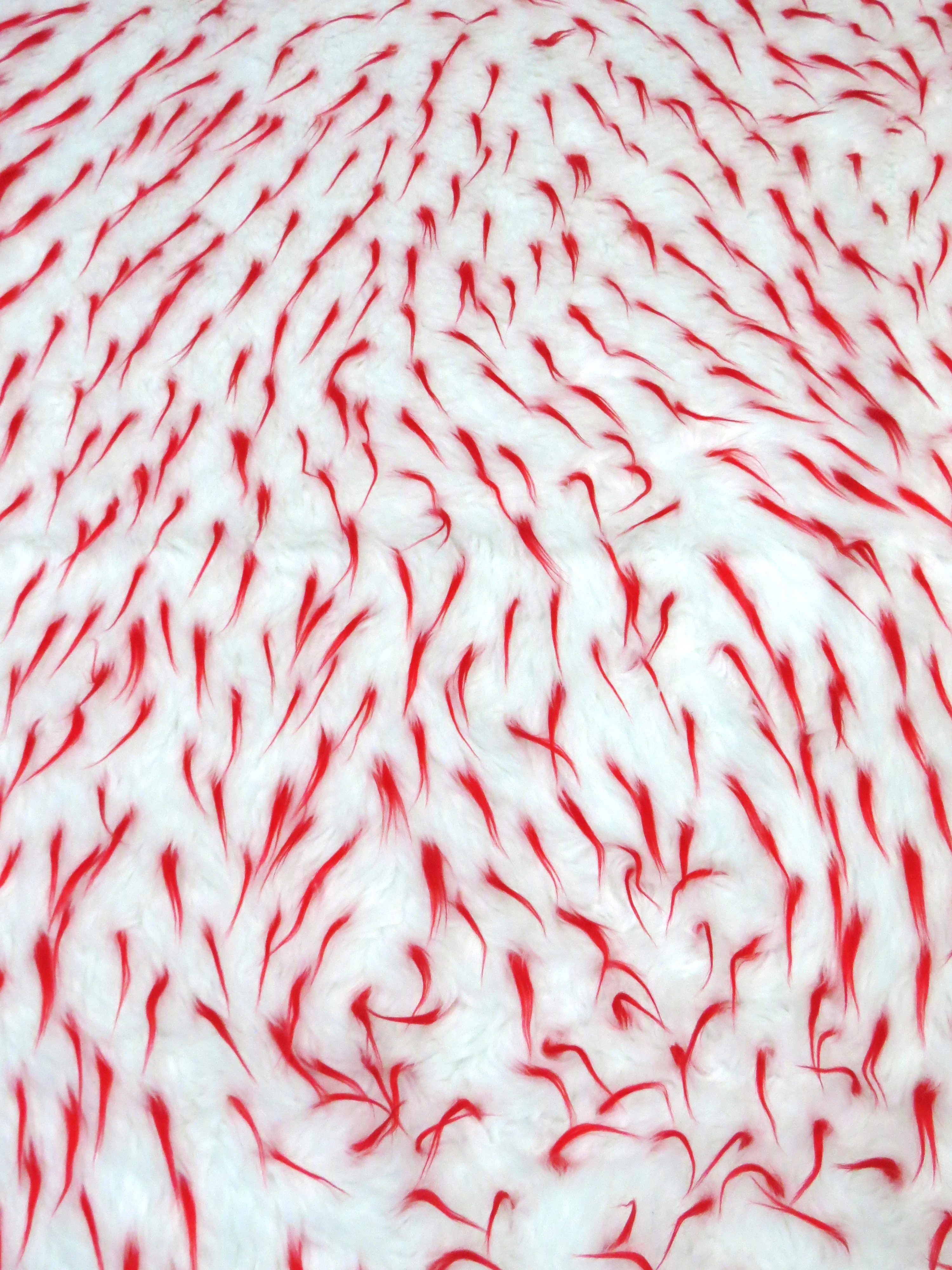 Thumbnail 14